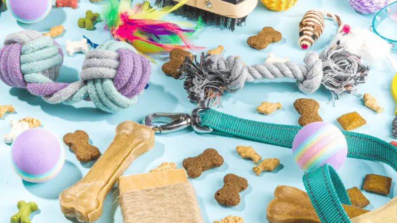 Silicone Rubber Pet Products