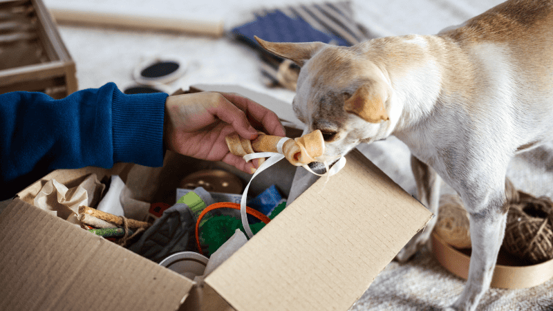 Silicone Rubber Pets Products