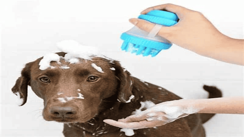 silicone pet bath brush