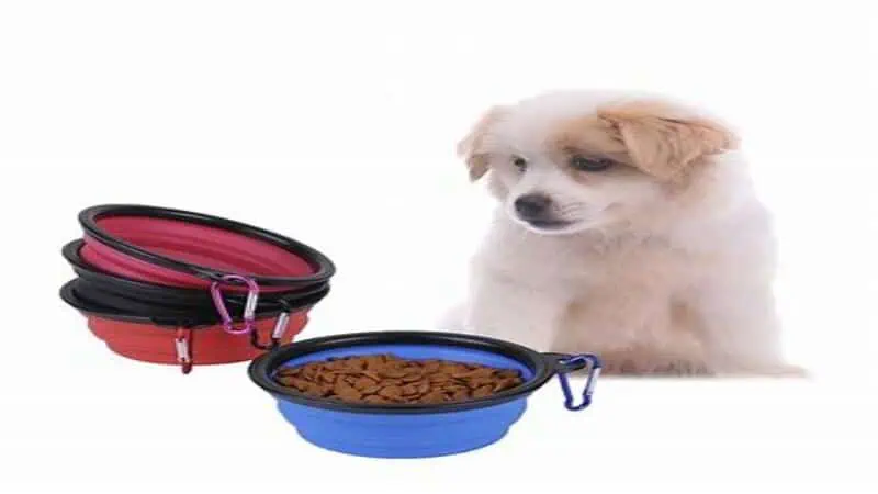 silicone dog feeding bowls