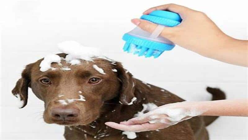 cepillo de baño de silicona para mascotas