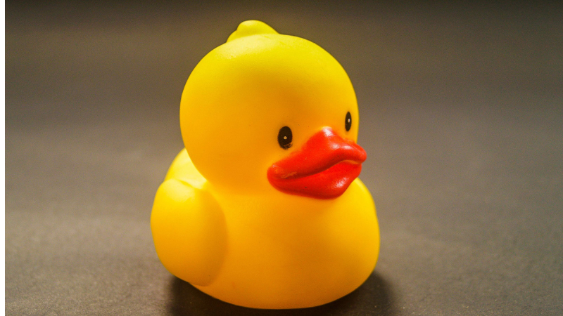 rubber toy