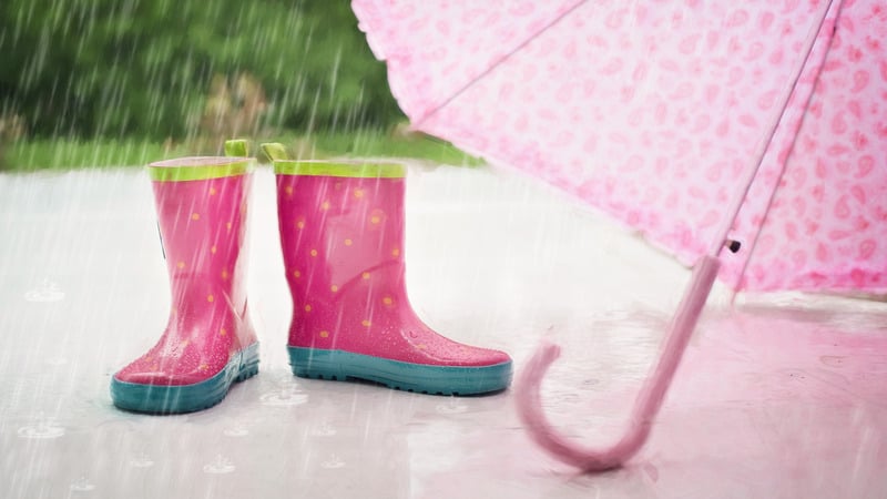Rubber Rain Shoes under Heavy Rain - Jill Wellington