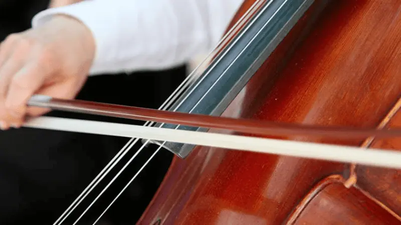 cello