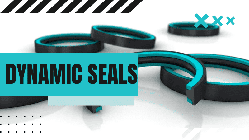 dynamic seals
