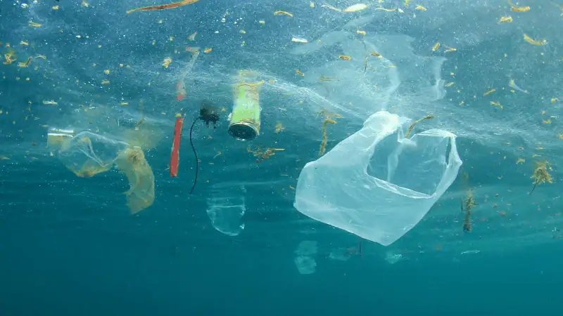 Tritan Plastic