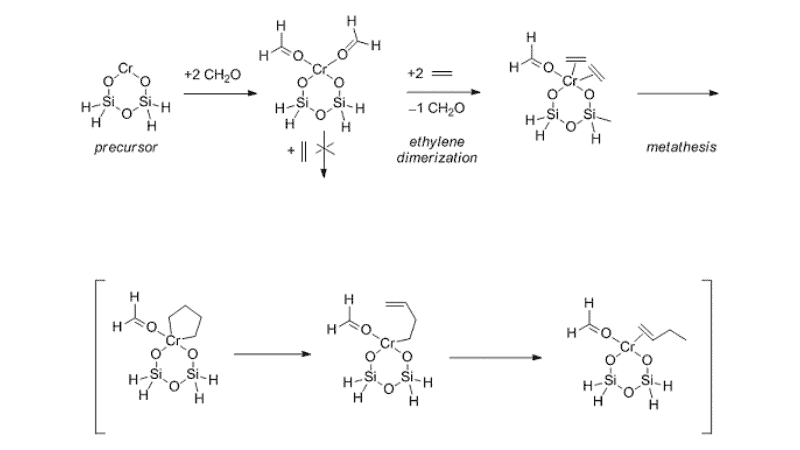 Ethylene Polymerization