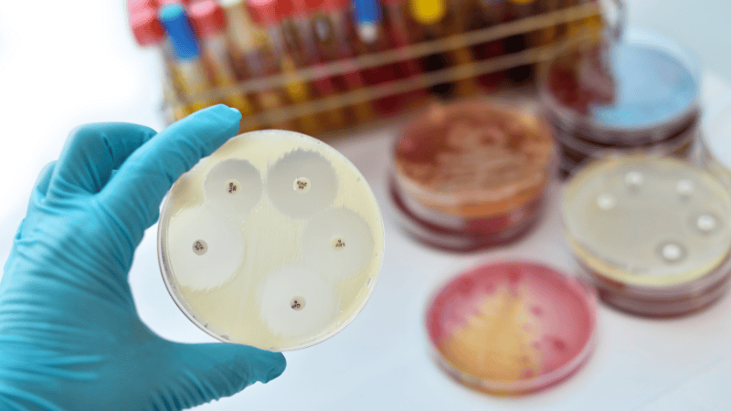 Antimicrobial Plastic