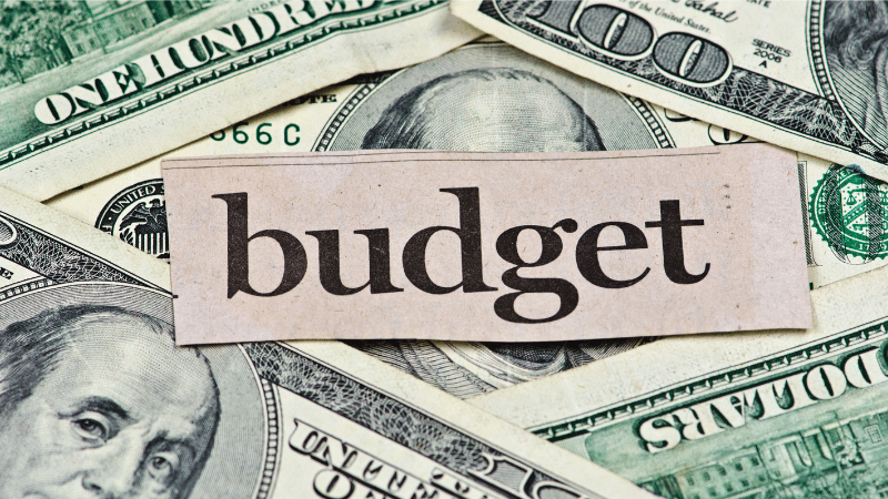 Budget for conductive silicone strips