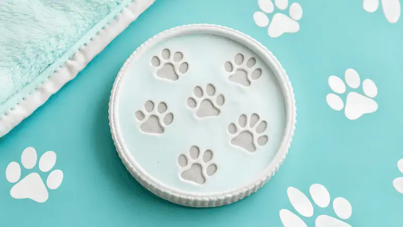 Print kitten footprints on silicone products