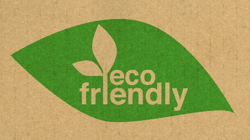 your paragraph text (3)