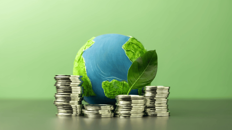  eco-friendliness in production