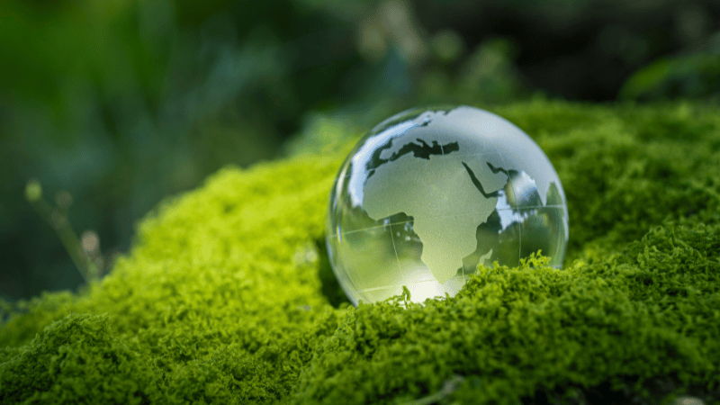 Sustainable tires can Improve Fuel Efficiency