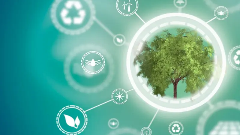 Environmental Considerations