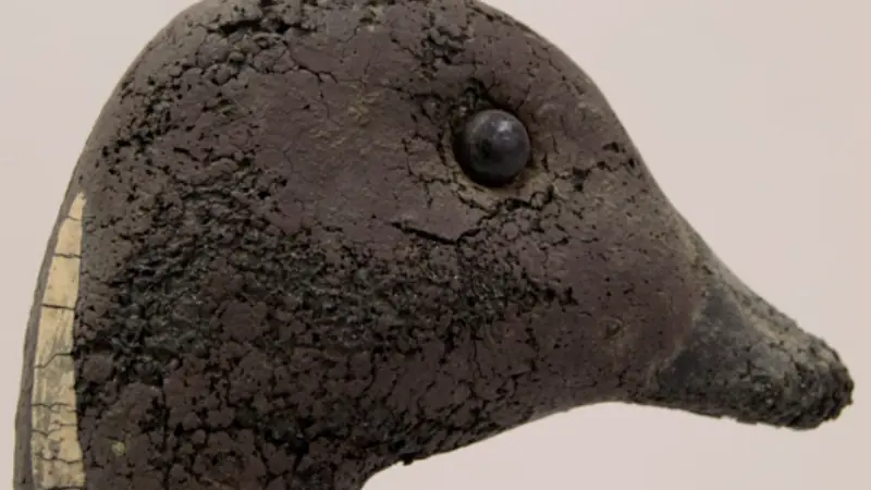 Rubber Deterioration