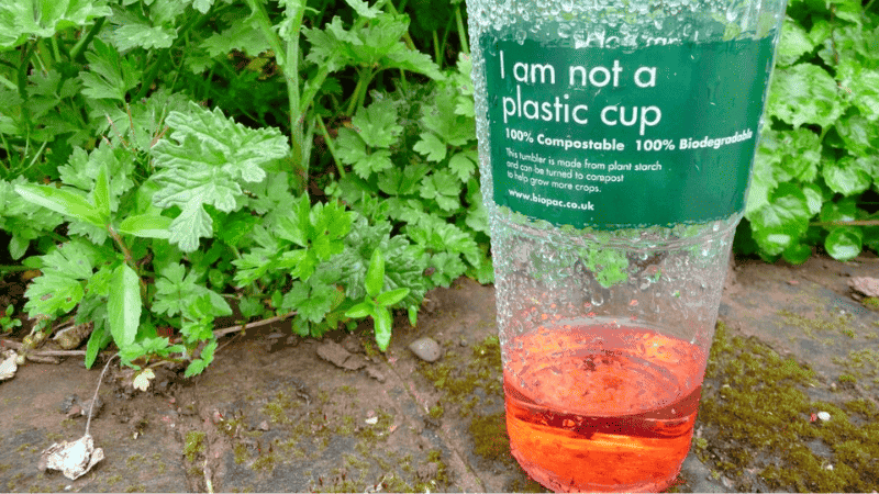 Biodegradable plastics