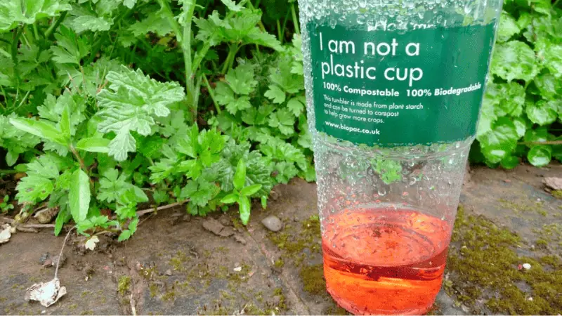 Biodegradable plastics