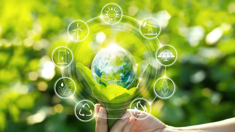 Environmental Sustainability