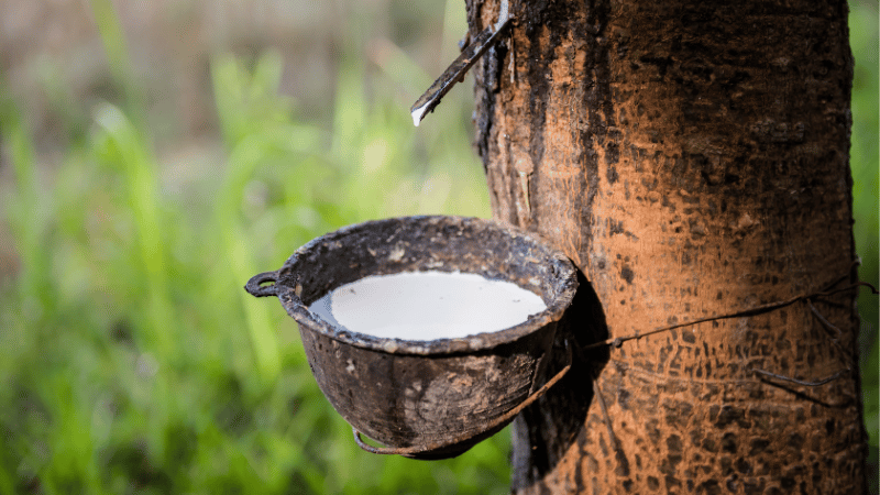 natural rubber