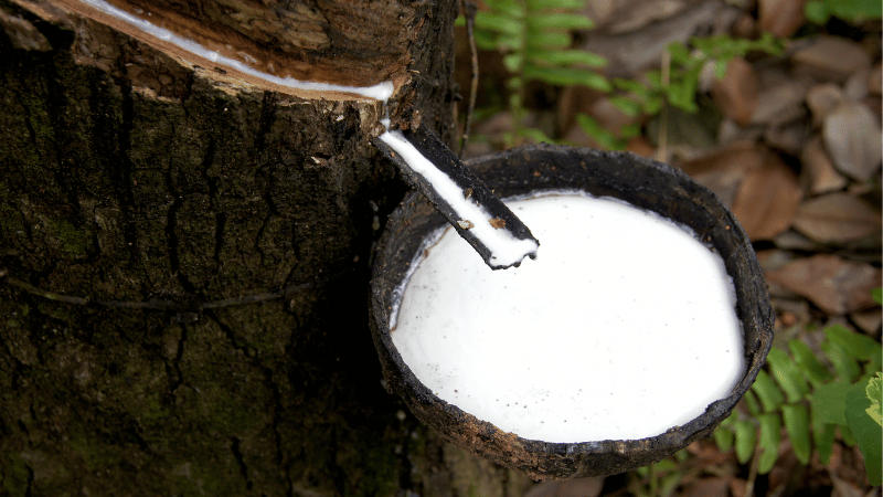 Natural rubber